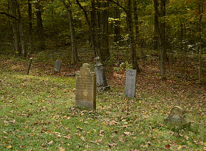 tombstones near trees at daytime thumbnail