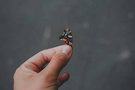 person holding of clear gemstone thumbnail