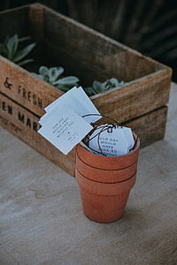 brown planter pot beside wooden crate thumbnail