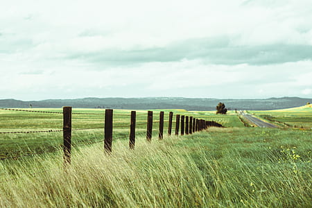 photo showing grass field thumbnail