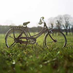 brown commuter bike parked near trees at daytime thumbnail
