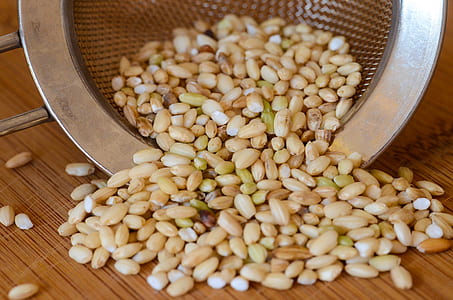 rice grains thumbnail
