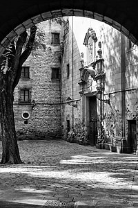 grayscale photo of tree near buildinfg thumbnail