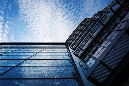 bottom view of glass-panel building thumbnail