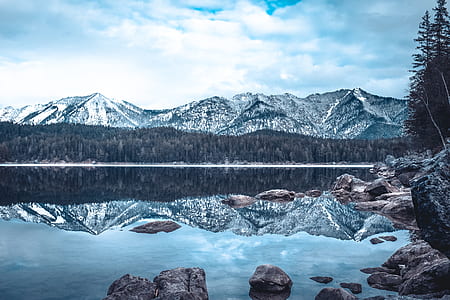 forest on the foot of the snow capped mountain thumbnail