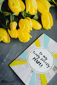Mother`s Day card with colorful tulip flowers thumbnail