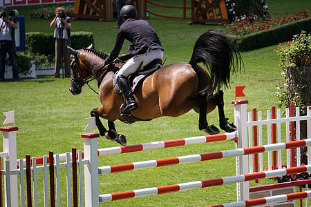 man riding horse hopping near bush thumbnail