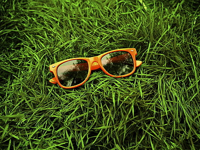 orange and gray wayfarer sunglasses with frames on green grass thumbnail