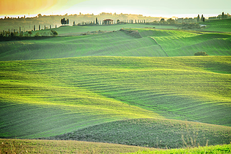 photo of green grass field during daytime thumbnail
