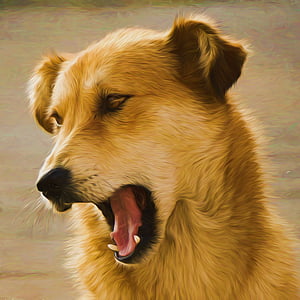 long-coated brown dog artwork painting thumbnail