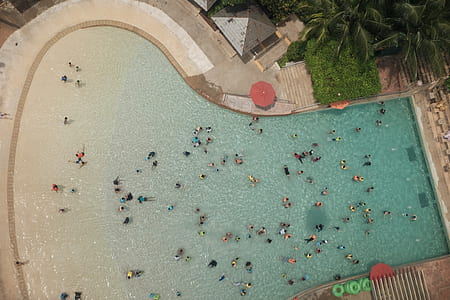 aerial photography of people swimming in pool thumbnail