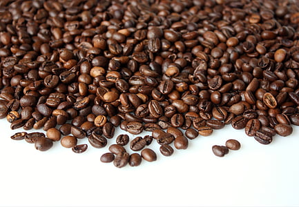 bunch of coffee beans thumbnail