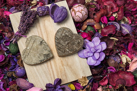 two brown wooden heart frames on beige wooden frame on assorted-color petals thumbnail