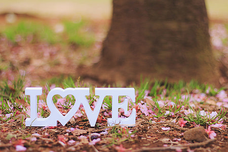 white love text cutout decor thumbnail