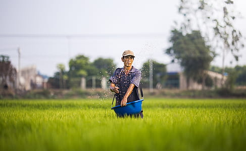person standing on green plant field thumbnail