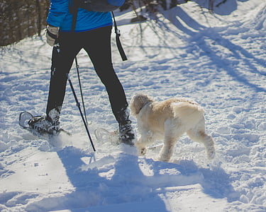 man and dog walking on snow field thumbnail