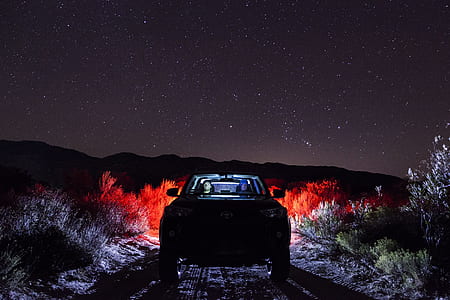 Vehicle on Road Along Green Grass during Night thumbnail