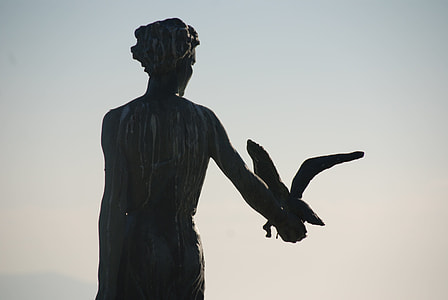 man holding bird statue thumbnail