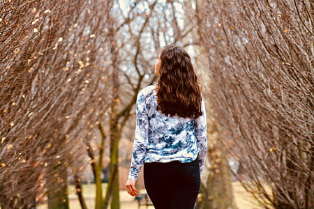 Woman in Blue and White Long-sleeved Shirt Walking Along Leafless Tree thumbnail