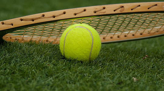 yellow tennis ball thumbnail