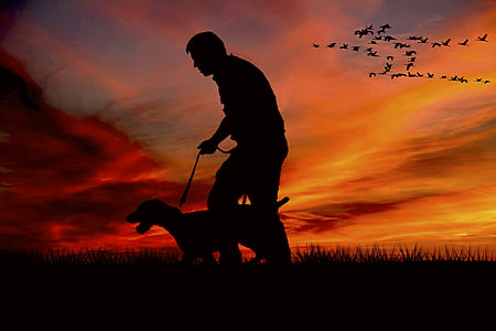 silhouette of man and pointer dog during sunset thumbnail