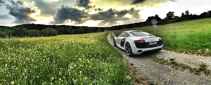 photography of silver Audi R8 near grass field thumbnail