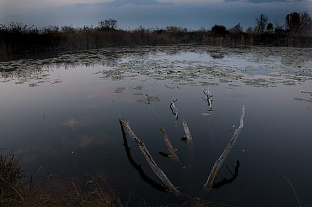 body of water under gray sky thumbnail
