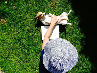 person in blue sun hat holding dog outside during daytime thumbnail