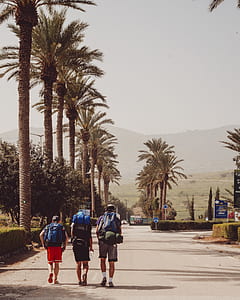 photo of three men walking beside palm trees thumbnail