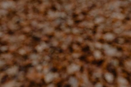 Autumn walk to the forest in foggy weather thumbnail