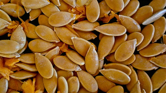 gray squash seeds thumbnail