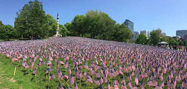 photo of USA flags near green leafed trees under clear blue sky thumbnail