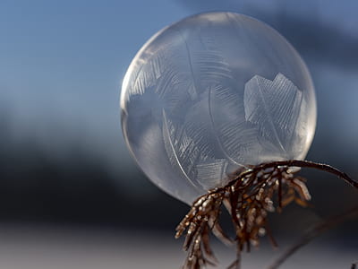 macro photograph of water on plant thumbnail
