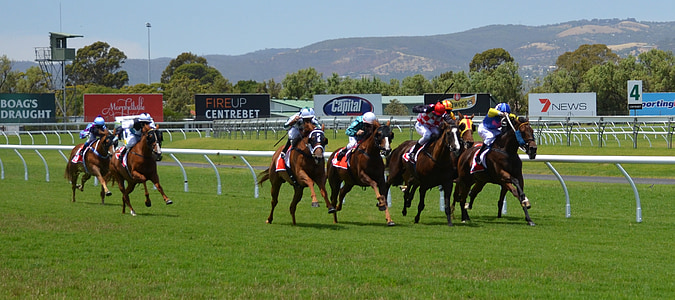 group of people riding horse during rally thumbnail