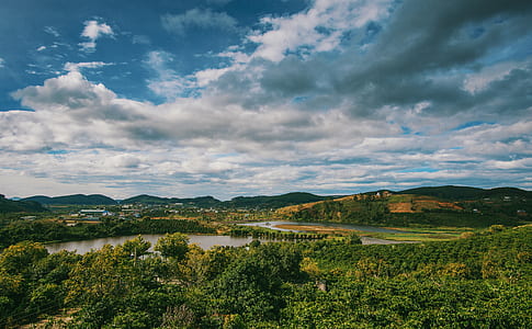 Top View Photography of Green Forest thumbnail