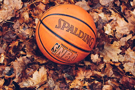 NBA Spalding basketball thumbnail