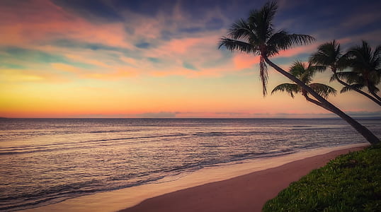 body of water and sunset thumbnail