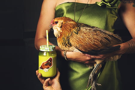 woman in green dress carrying rooster thumbnail