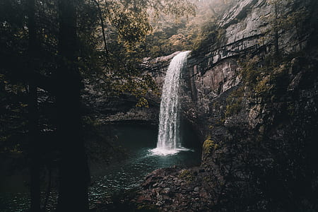 plunge waterfalls at middle of forest thumbnail