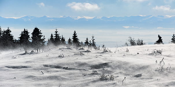 green trees near mountain under blue sky at daytime thumbnail