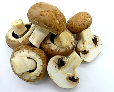 several brown mushrooms thumbnail