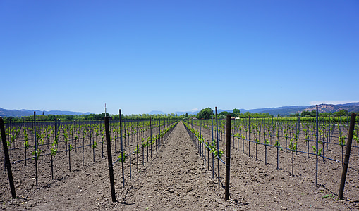 landscape photography of farm thumbnail