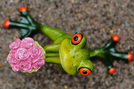 macro photography of red-eyed frog thumbnail
