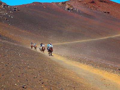 group of people riding on horse during daytime thumbnail