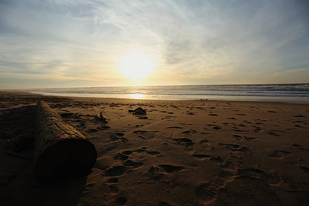 seashore during golden hour thumbnail