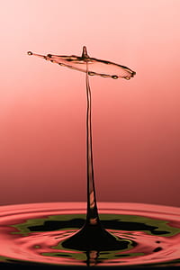 macro photography of water drop thumbnail