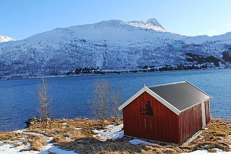 photography of red wooden shed beside body of water thumbnail