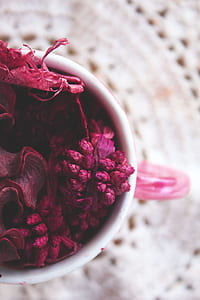 Close-up of Pink Flower thumbnail
