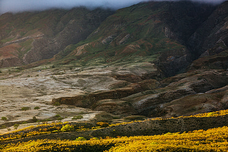 green and gray mountain thumbnail