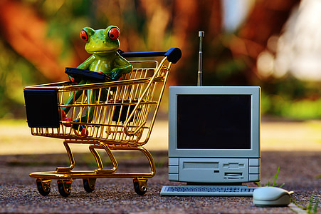 red eye tree frog in shopping cart thumbnail